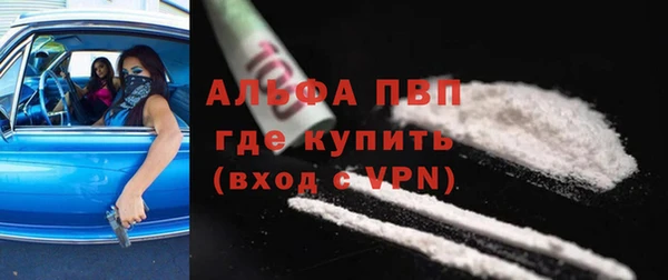 ГАЛЛЮЦИНОГЕННЫЕ ГРИБЫ Каменка