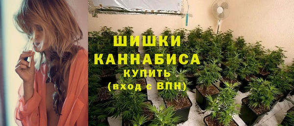каннабис Каменногорск