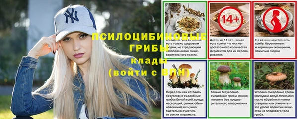 ГАЛЛЮЦИНОГЕННЫЕ ГРИБЫ Каменка