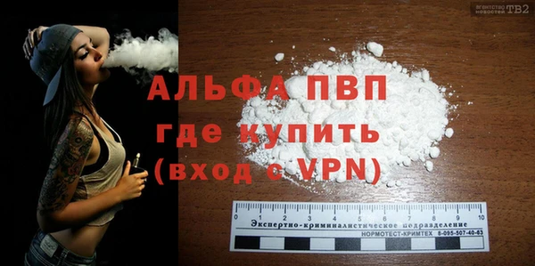 ГАЛЛЮЦИНОГЕННЫЕ ГРИБЫ Каменка