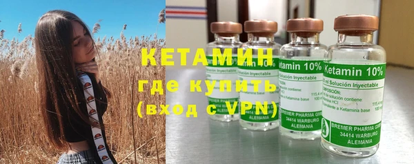 ГАЛЛЮЦИНОГЕННЫЕ ГРИБЫ Каменка