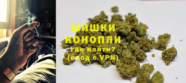 каннабис Каменногорск