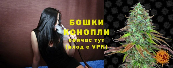 ГАЛЛЮЦИНОГЕННЫЕ ГРИБЫ Каменка