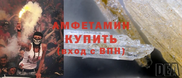 ГАЛЛЮЦИНОГЕННЫЕ ГРИБЫ Каменка