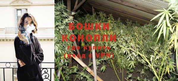 ГАЛЛЮЦИНОГЕННЫЕ ГРИБЫ Каменка