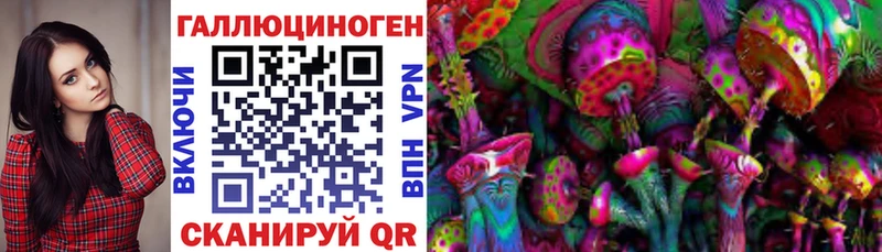 Купить  Калач-на-Дону  Галлюциногенные грибы Psilocybe 